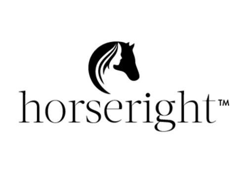 Digital Marketing, Paid Ads Management, SEO
