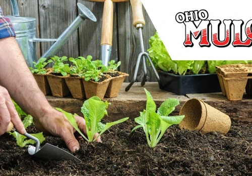 Unique customizations in the cloud dramatically improves business operations for Ohio landscape supplier