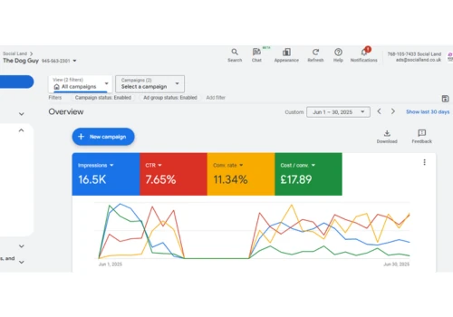 Google Ad Conversion - The Dog Guy