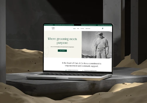 Ecommerce Web design and development