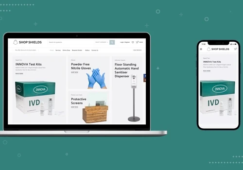 WordPress Ecommerce Website