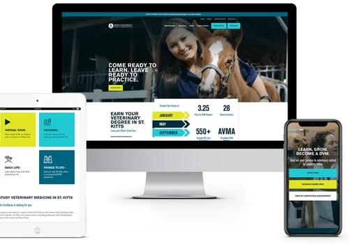 Ross University: Web Design & Web Development