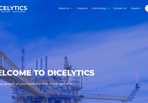 Website for Dicelytics