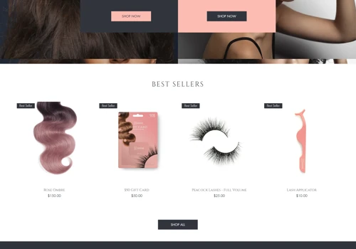 Ecommerce Website