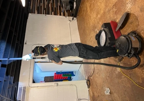 Water Damage & Mold Remediation