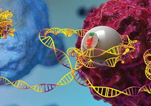The Rise of Epigenome Editing