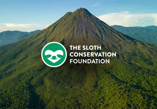 Web Design & Dev for Sloth Conservation Foundation