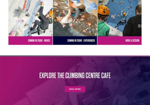 Wordpress website with booking system