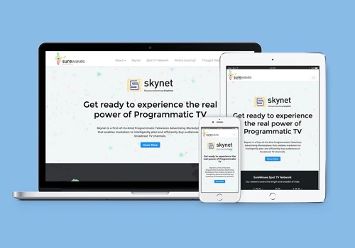 Surewaves: The Real Power of Programmatic T.V.