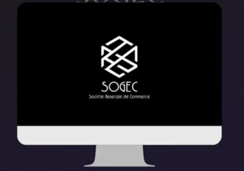 Customer Acquisition Strategy for Our Client Sogec
