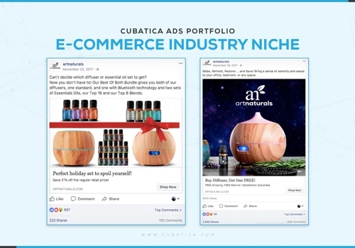 Facebook Marketing Campaign for Art Naturals