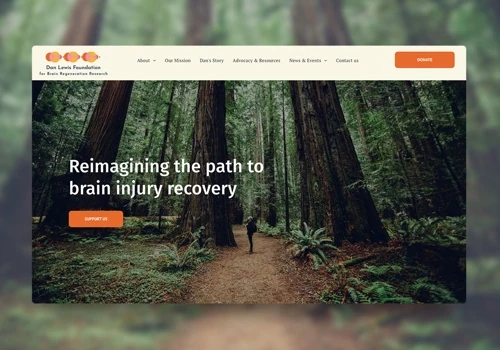 Website Migration for The Dan Lewis Foundation