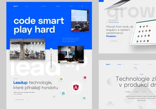 FlowUp webdesign