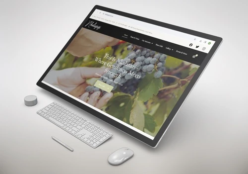 Ecommerce Website Development