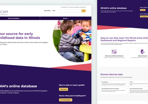 Illinois Early Childhood Asset Map website