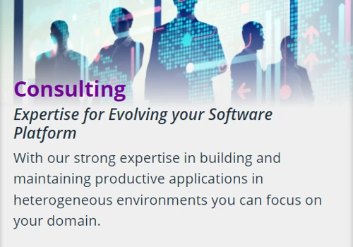 Consulting on Demand - Flamingo