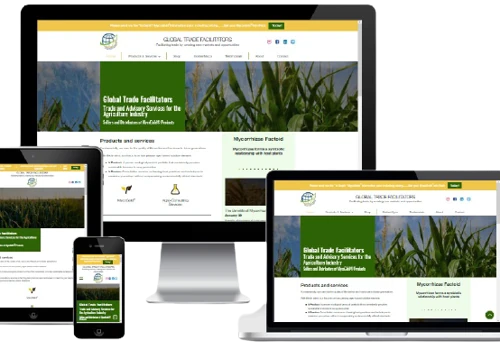 Ecommerce Development