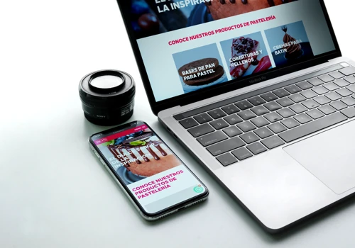 Richs Products Web Page Design