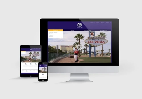 Everi ~ Website