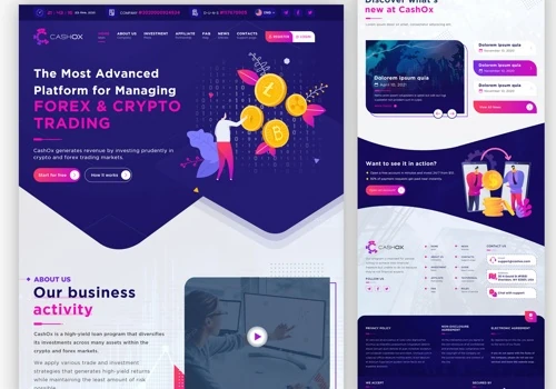 Website Design & Development