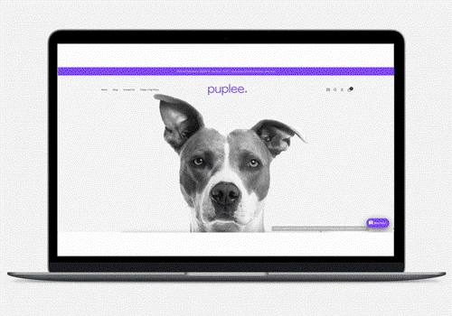 Dog Food - E-commerce Web Design