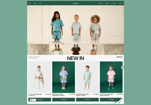 Avaacha - Custom Shopify Development