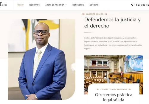Professional Legal Website