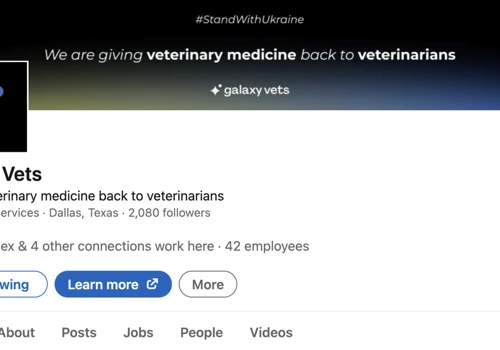 B2B Veterinary SMM for a US-based company