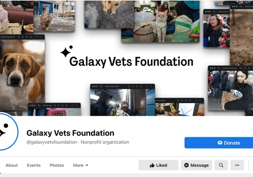 SMM for Animal Healthcare Non-profit