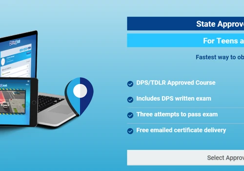 Online Driving school