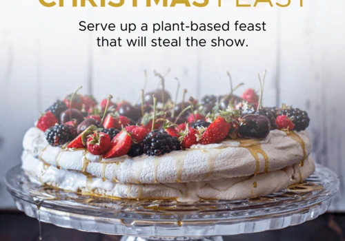 FB Ads Management for a Plant-Based Chef Cynthia