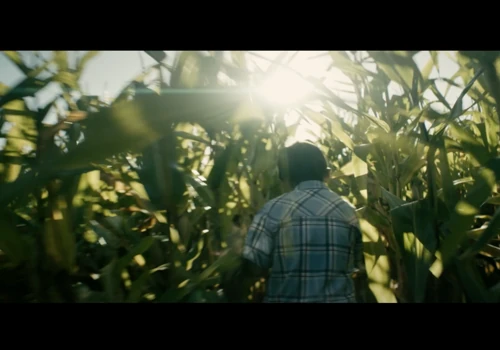 Nidera Seeds - #SerdeCampo
