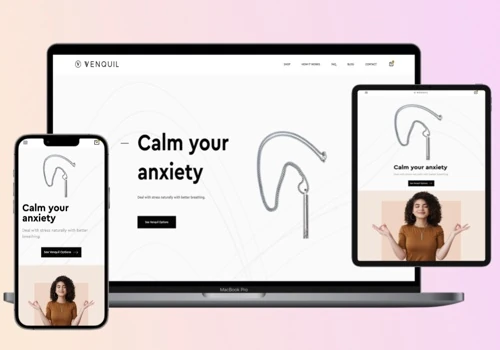 Custom website development