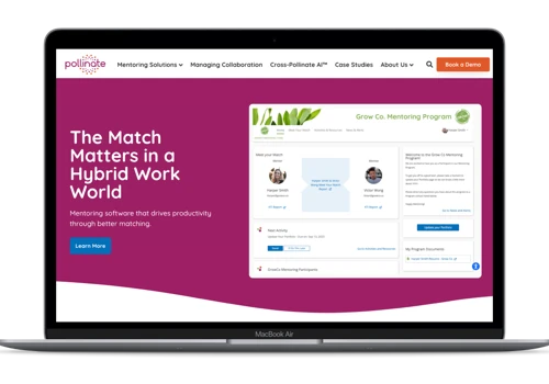 CDAP Advising & Strategy for Mentoring Software