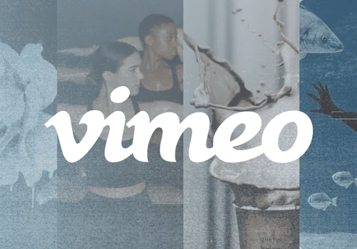 World Rushed to Video, Vimeo Turned to ModSquad
