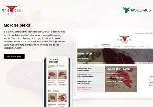 User Friendly Ecommerce Web Design