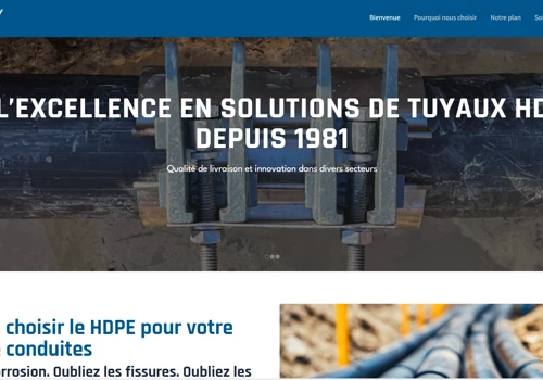 WordPress Website Development & Duplicate Site
