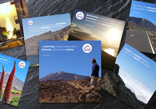 Trekser Social Media Marketing