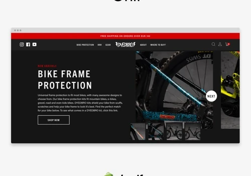 Custom Shopify Theme: Dyedbro