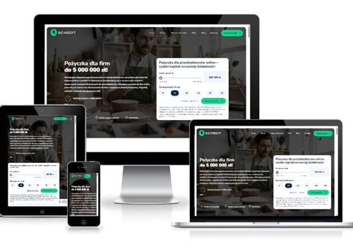 Biz Kredyt – Professional Financial Services WWW