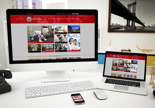 University of Georgia College of Pharmacy Website