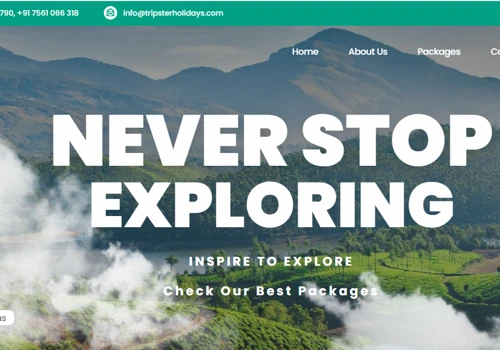 Website Development Works