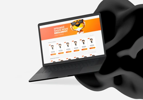 Ecommerce custom solution