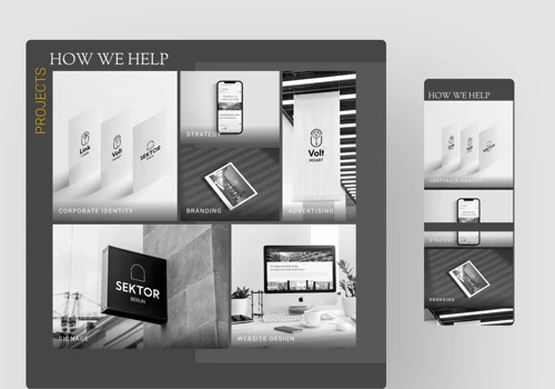 Website development