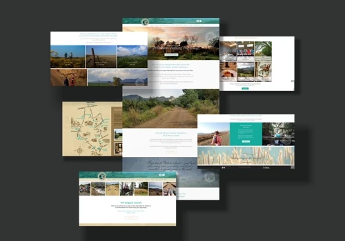 Website Design & Development