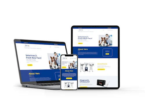 WordPress Development & Design Consulting