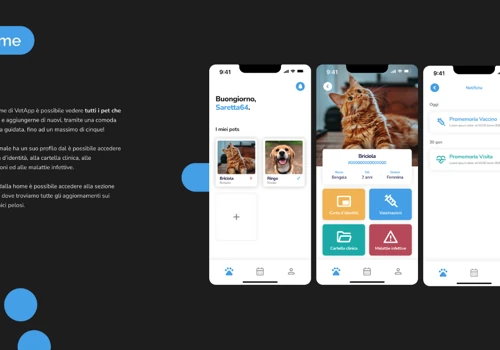 Veton | Sviluppo App