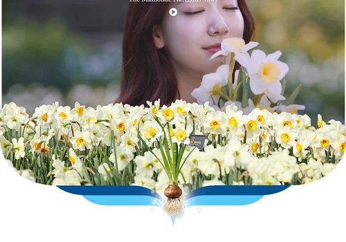 Mamonde product launching microsite in Malaysia