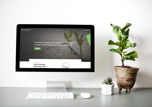 Branding and Online Presence