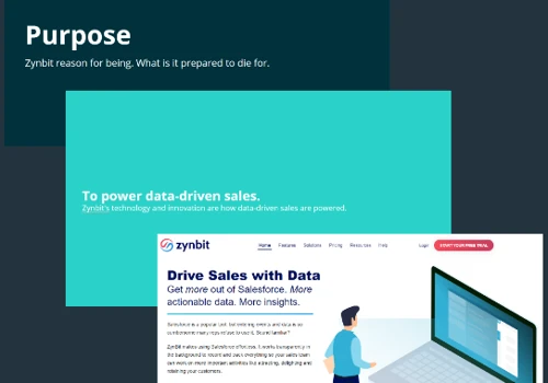 Branding and Growth Optimization for ZynBit